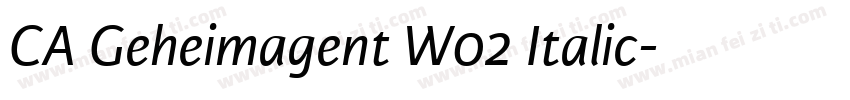 CA Geheimagent W02 Italic字体转换